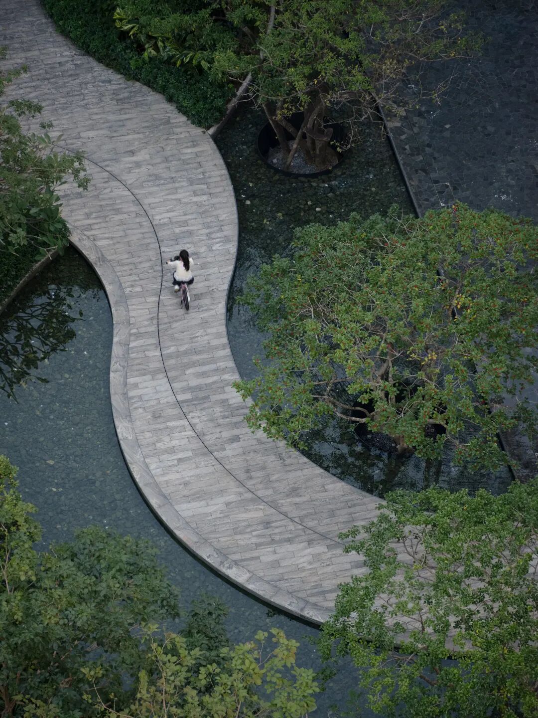 仁恒深圳公园世纪三期丨中国深圳丨TROP:terrains + open space-109