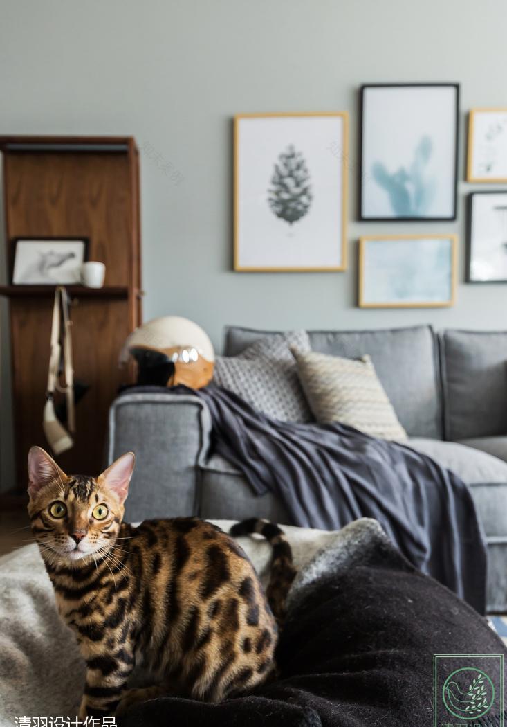 猫小姐的北欧风之家-28