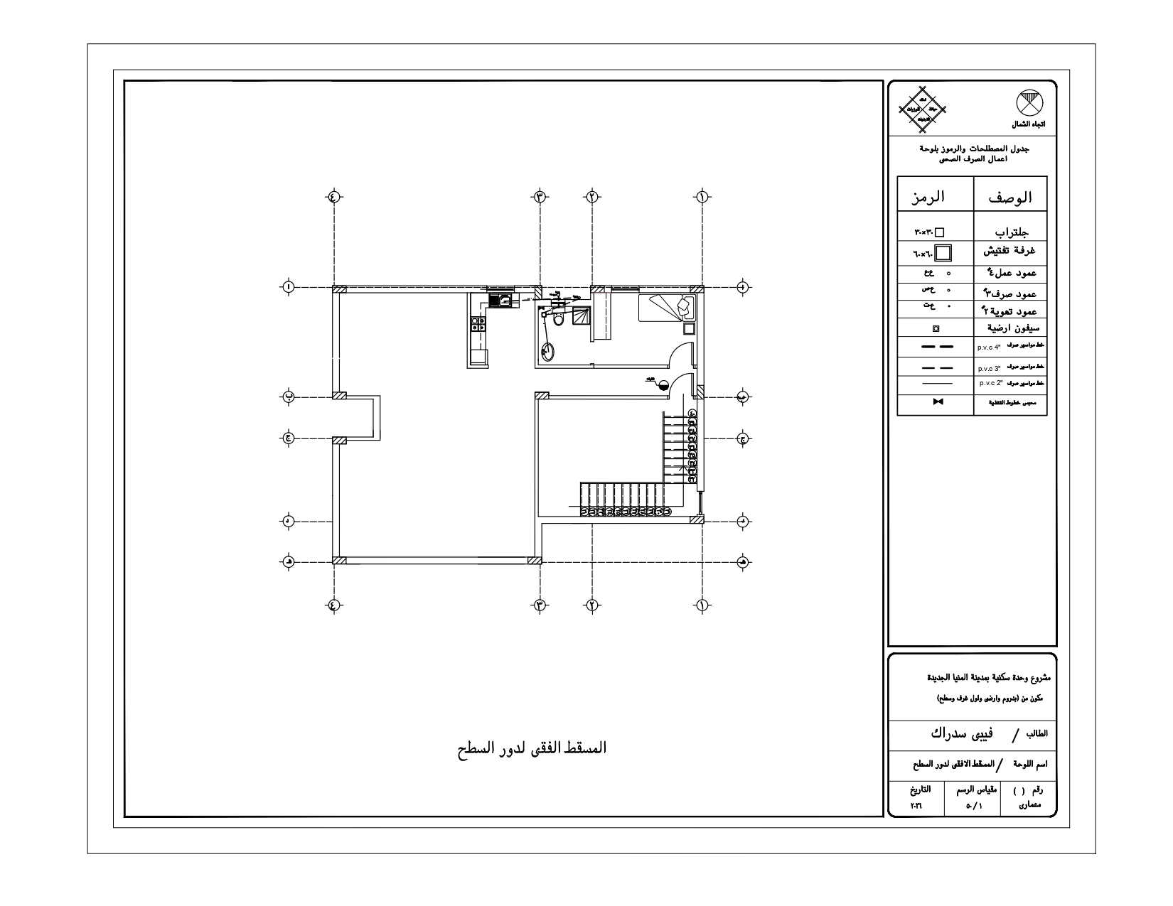 Executive project for a villa-11