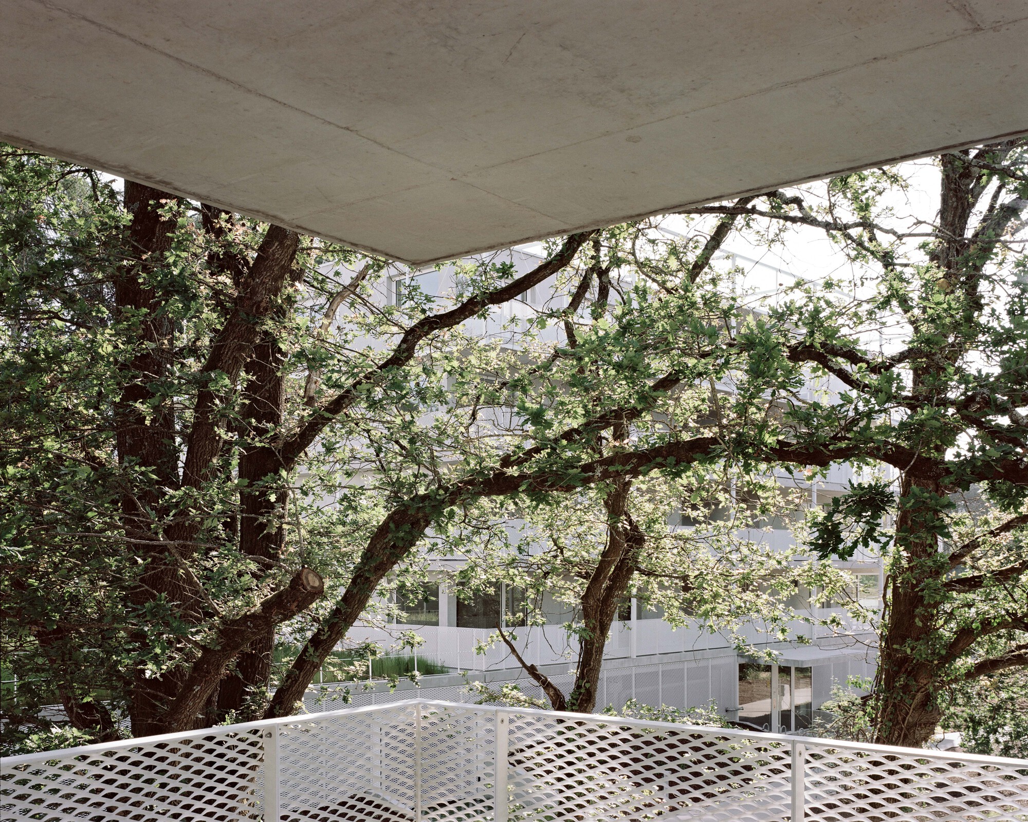 巴什住宅丨法国丨Philippe Dubus Architectes-32