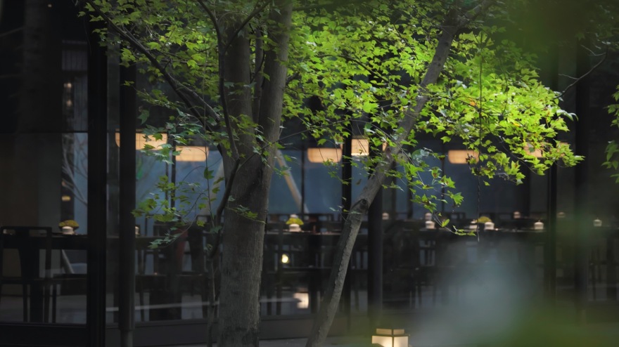 南京紫金山院景观丨中国南京丨北京顺景园林股份有限公司-20