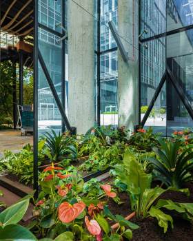 奥利维亚花园,异国情调的办公花园丨波兰格但斯克丨Malinowski Design Urban & Landscape