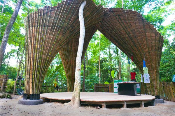 “Free the Bears”竹制新店丨老挝琅勃拉邦丨Atelier COLE-25