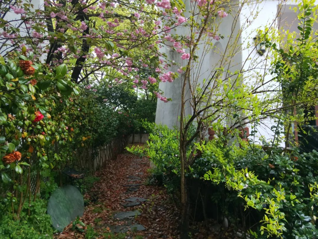 维诗凯亚花园 | 南欧风情融入绿意生活-28