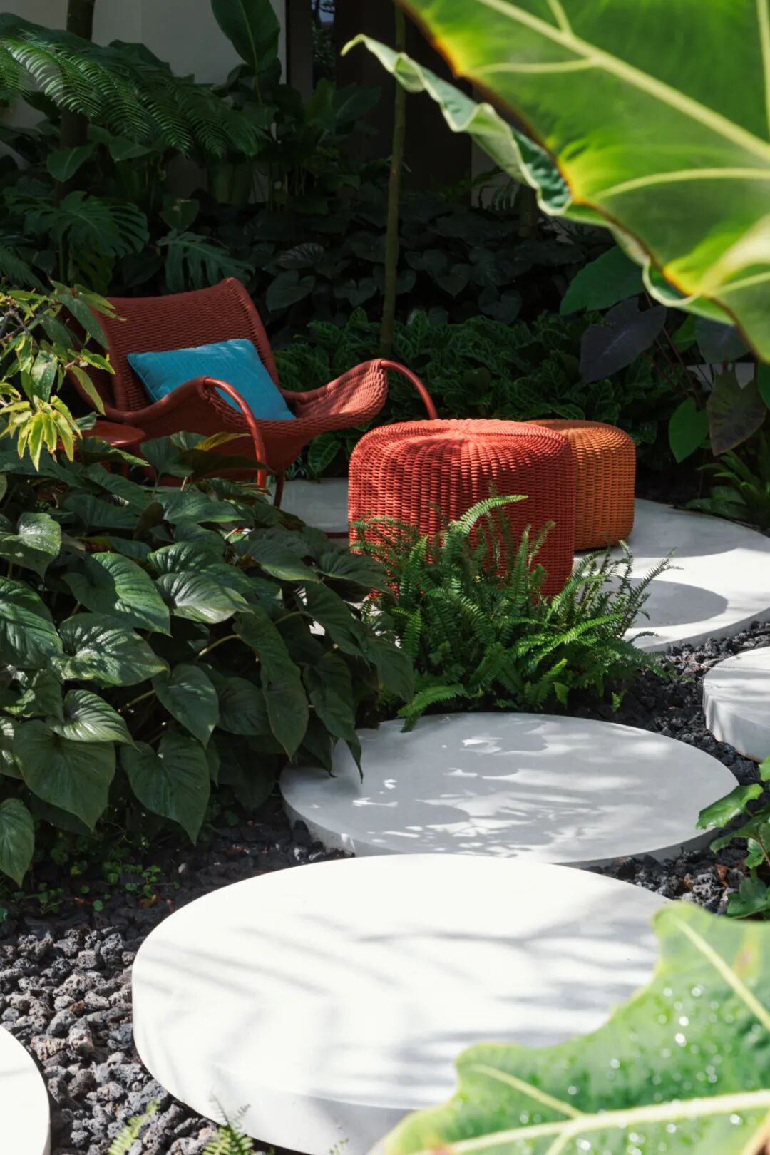 解锁雨林中的奇幻岛居｜海口万华·江东麓岛二期-204