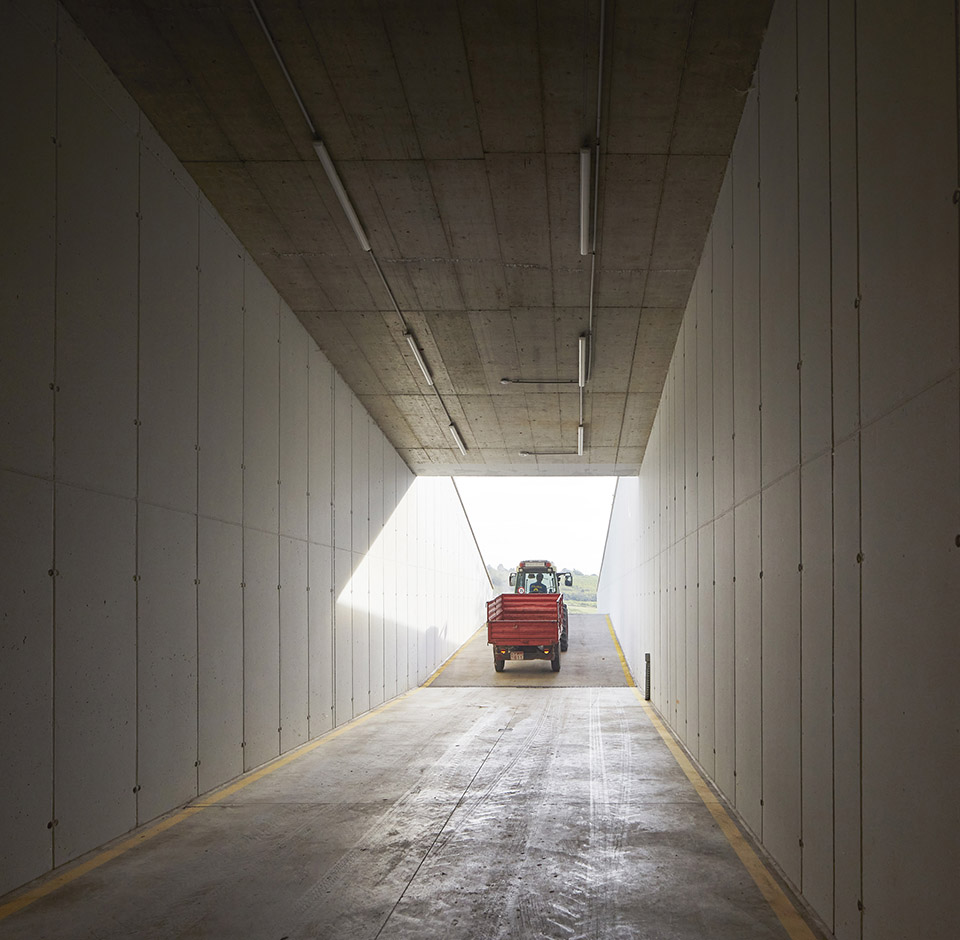 Sauska Tokaj酿酒厂，匈牙利 / BORD Architectural Studio-110