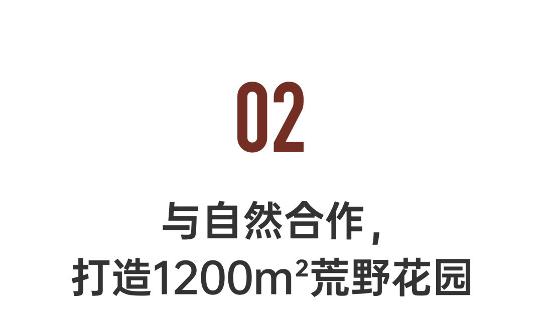 回声花园 · IT 夫妇的乡野生活丨中国黄山丨红子,小可夫妇-57