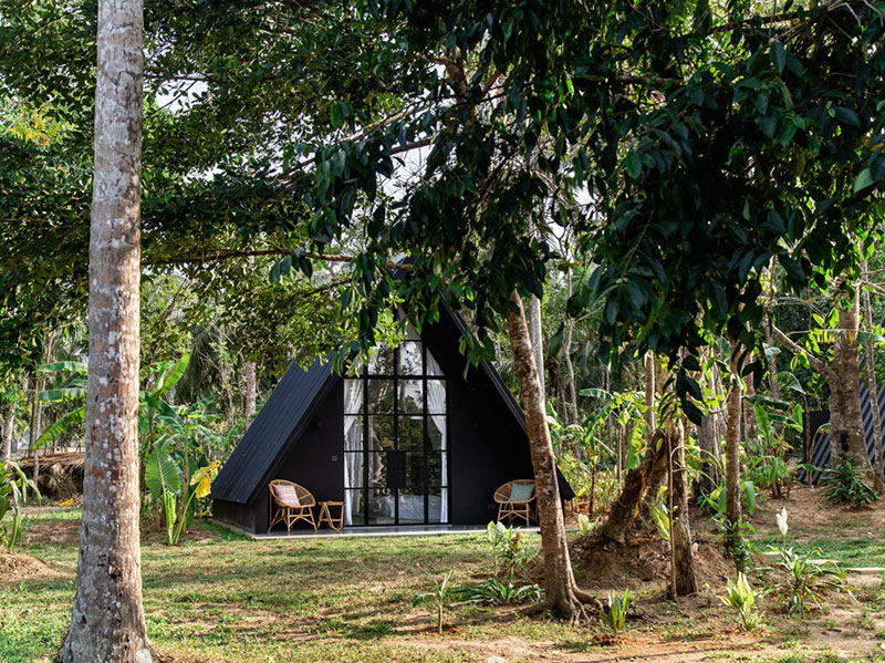 斯里兰卡 Palm Hotel-15