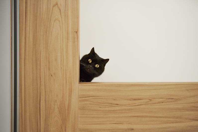 台北 90㎡现代家居,人猫共融的生活空间-47