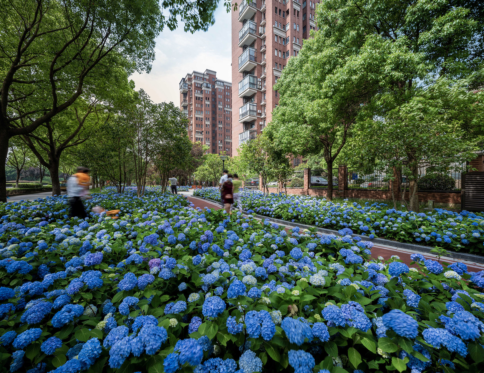 嘉兴口袋公园-10