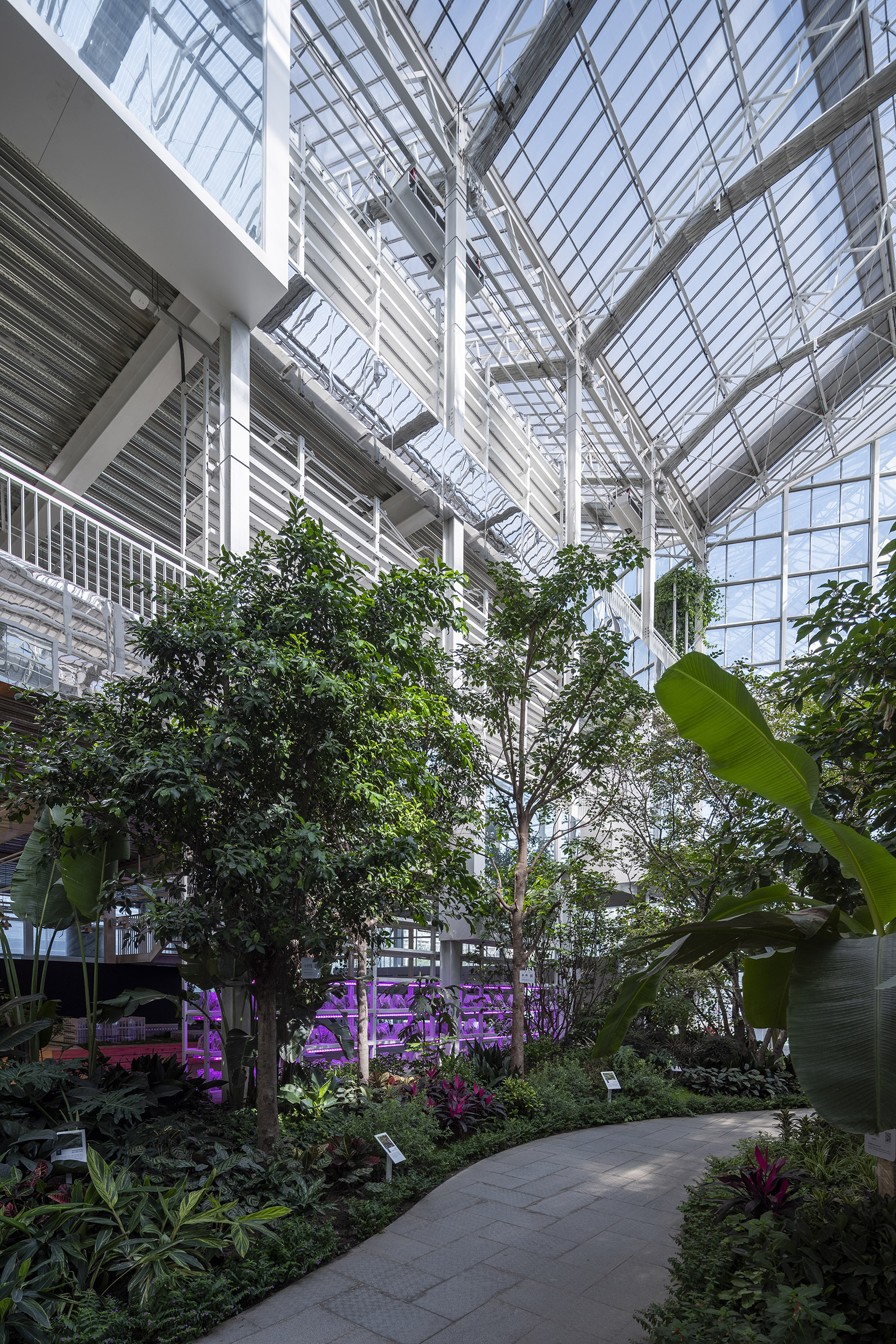 北京垂直农场 / van Bergen Kolpa Architects-65