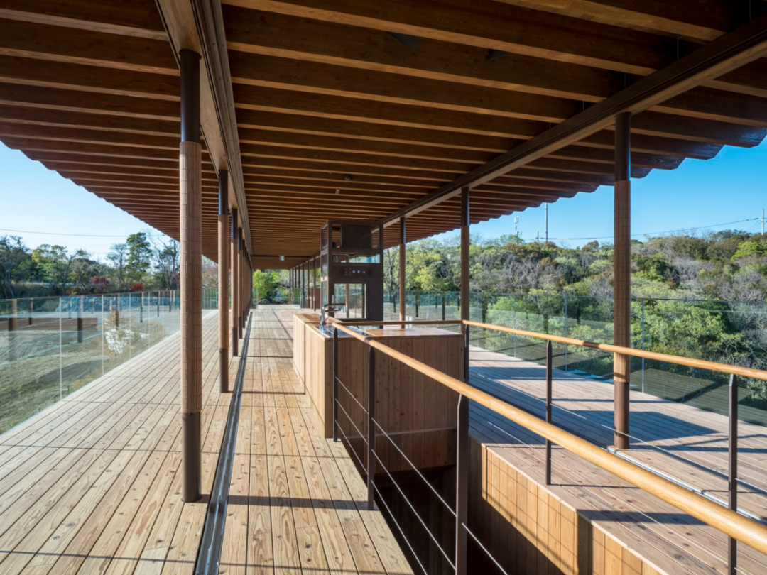 禅意空间 · 坂茂悬浮森林木结构禅修场丨日本兵库-44