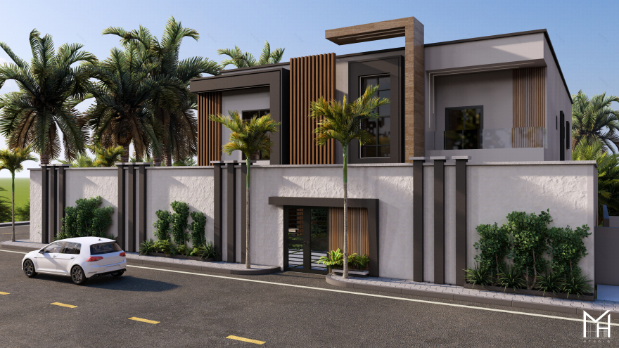 Modern Villa Facade & Landscape-10