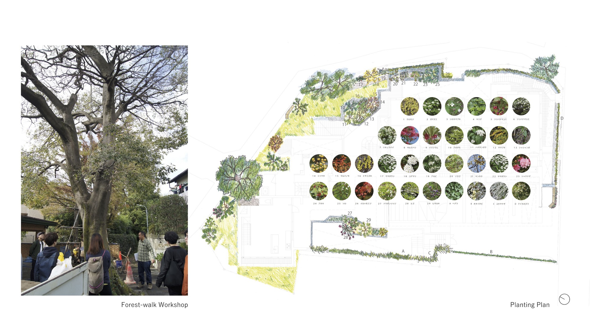 CHIDORI TERRACE 合作住宅综合体丨日本-19