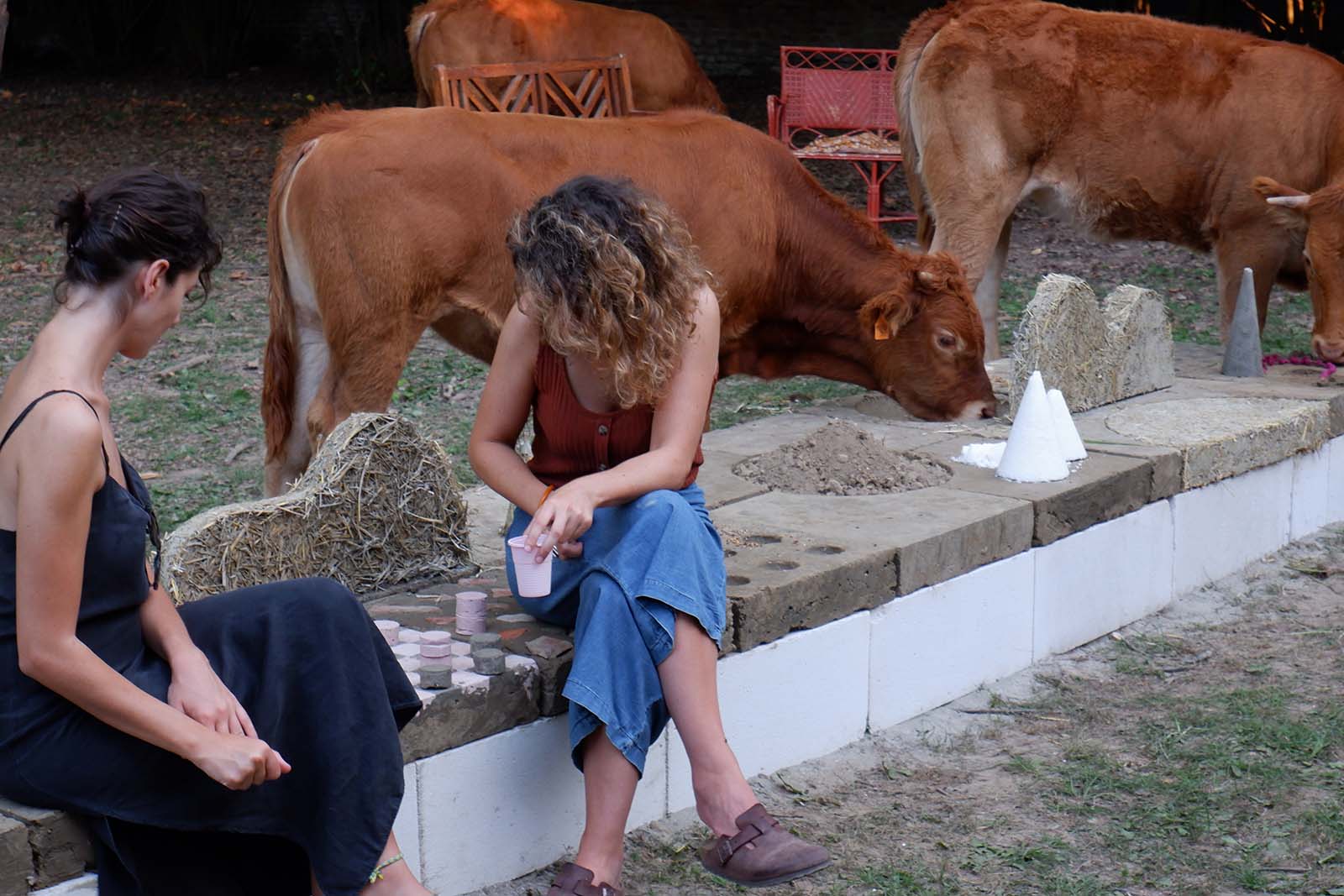 阿姆斯特丹寓言丨荷兰阿姆斯特丹丨Studio Ossidiana-31