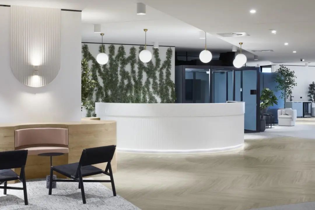 布里斯班 Mobo 联合办公室丨澳大利亚布里斯班丨Zircon Interiors-2