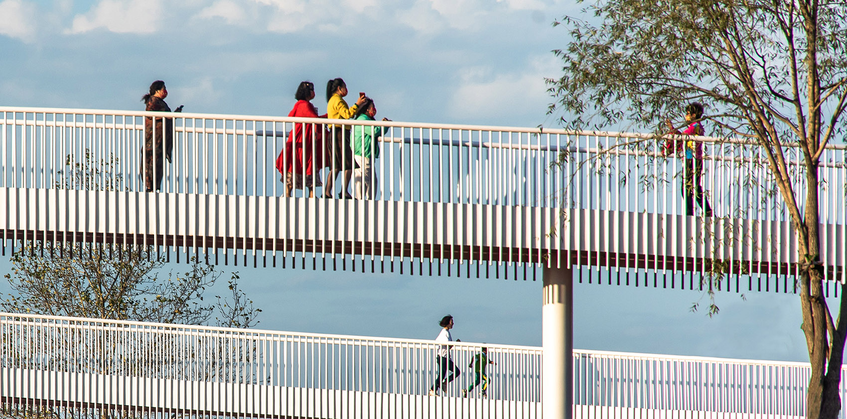 梅河口浪漫花海公园丨中国吉林丨麦田景观-38