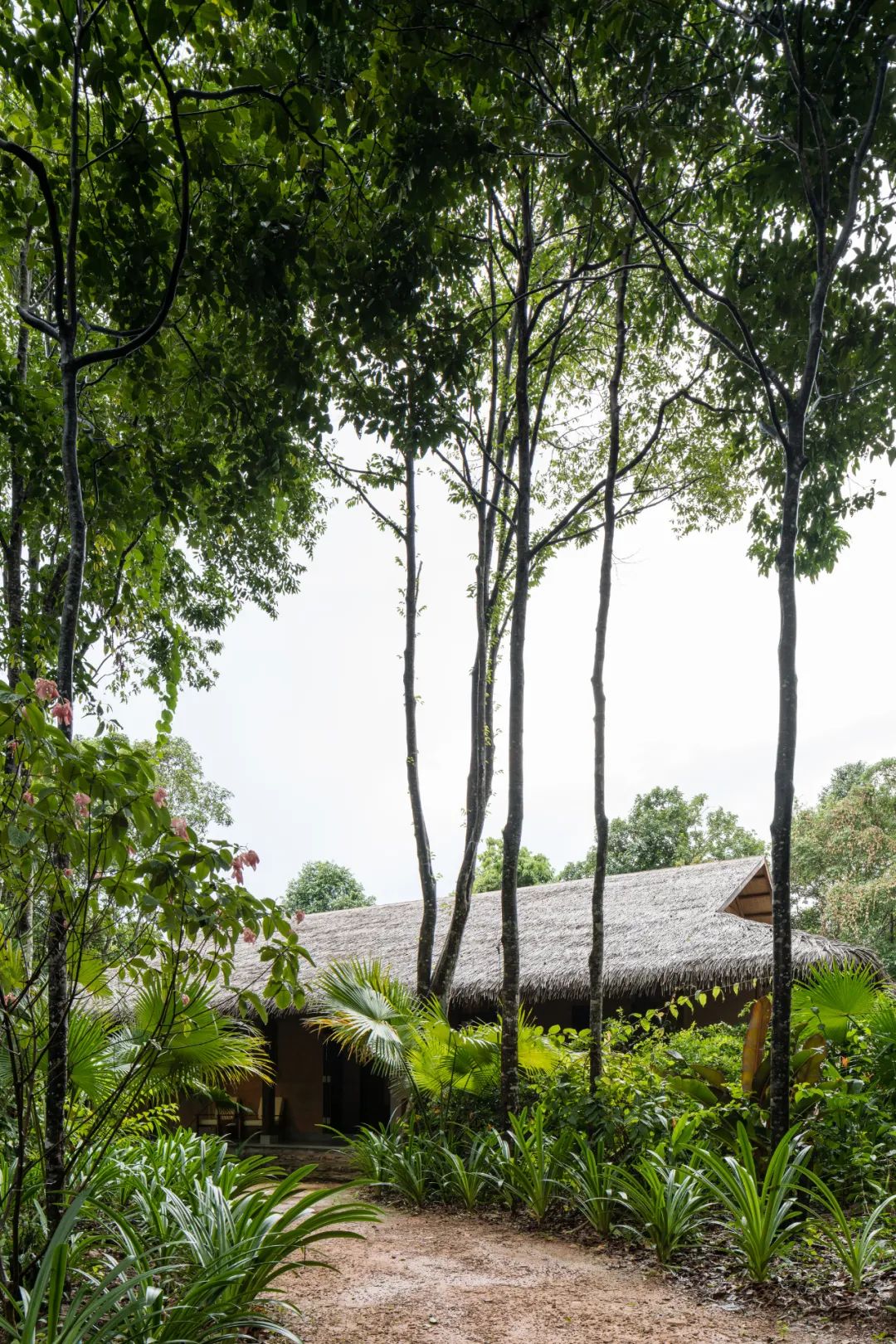 现代茅草建筑 | 传统工艺的当代新生-31