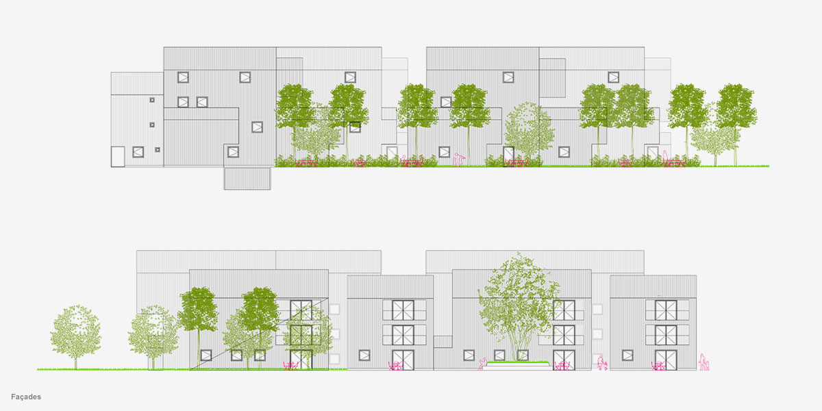 36套集群式集体住宅丨法国丨CoCo architecture-6