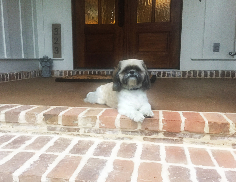 丨美国阿拉巴马-9