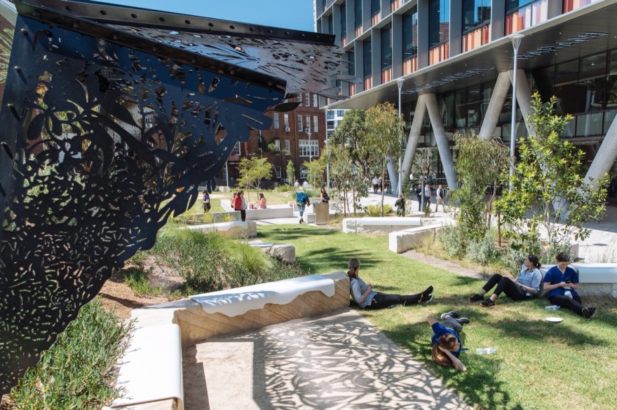 悉尼 St Leonards 健康组织迁址丨澳大利亚悉尼丨Arcadia Landscape Architecture-18