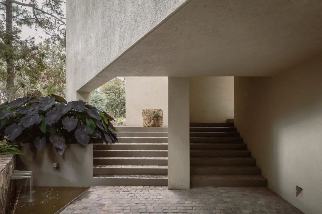 COA Arquitectura 建筑事务所丨墨西哥瓜达拉哈拉-7