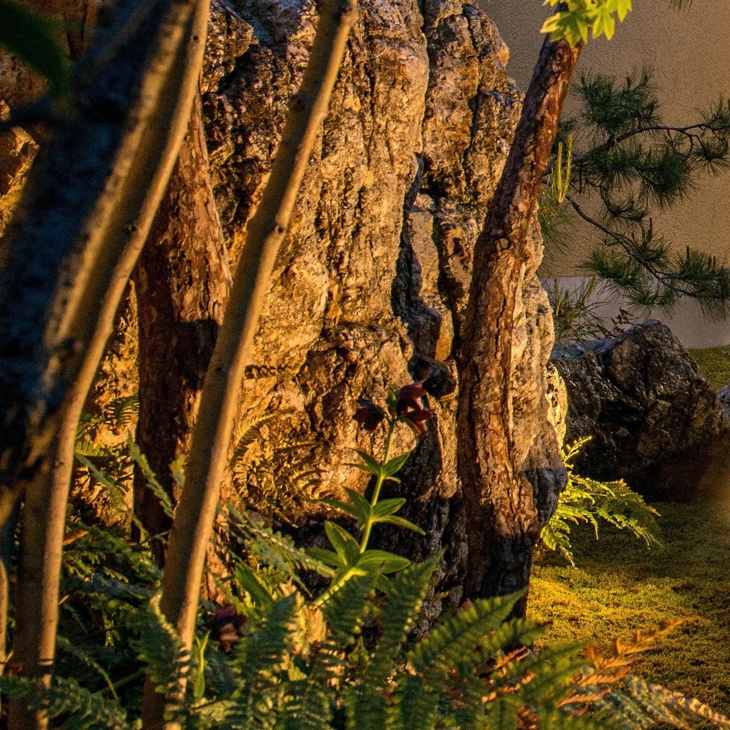 优雅花园 U 邸丨日本丨近江綴園（Omi Tsuzurien）-34