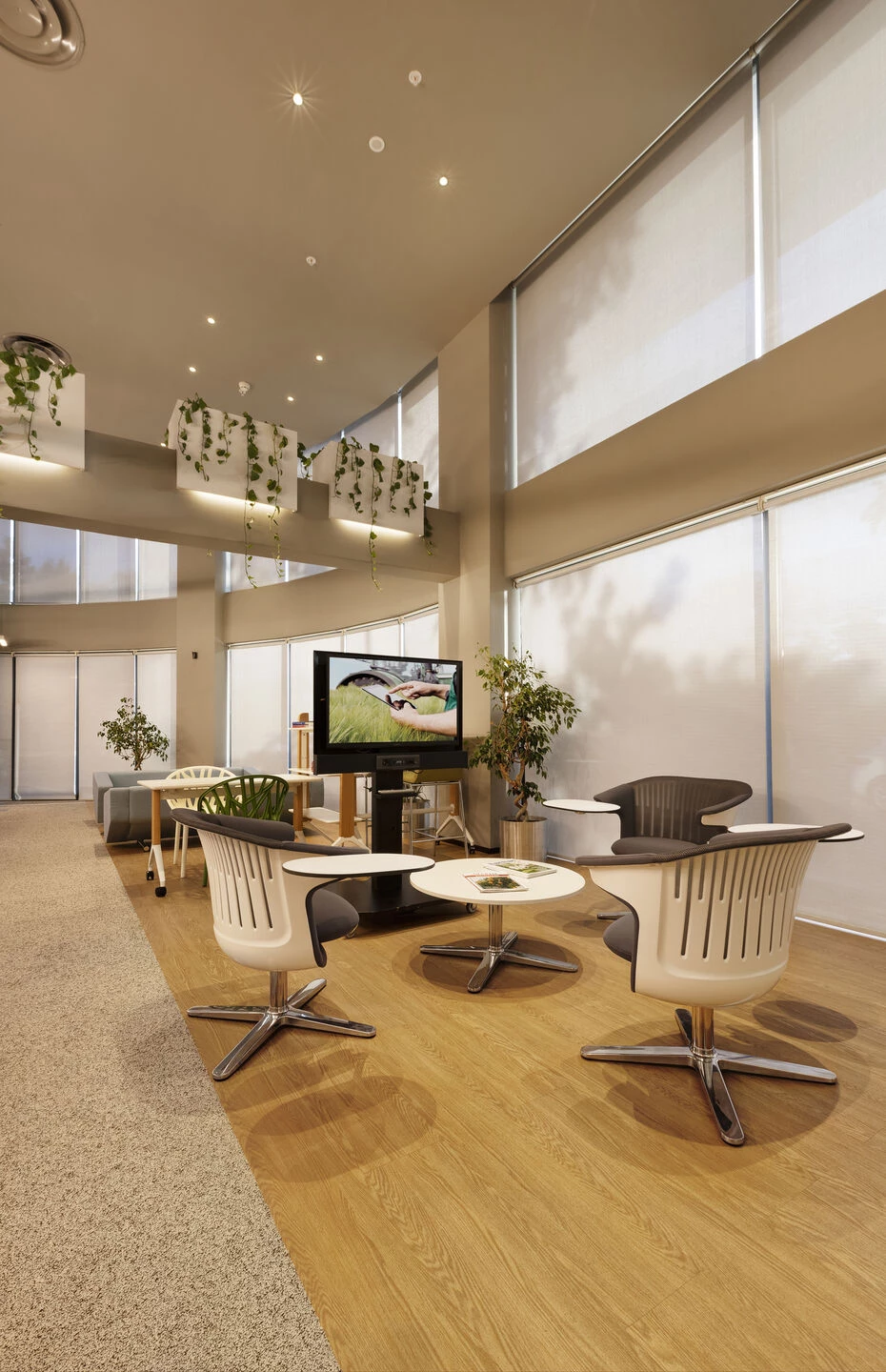 BASF 土耳其伊兹密尔办公室丨mimaristudio-7