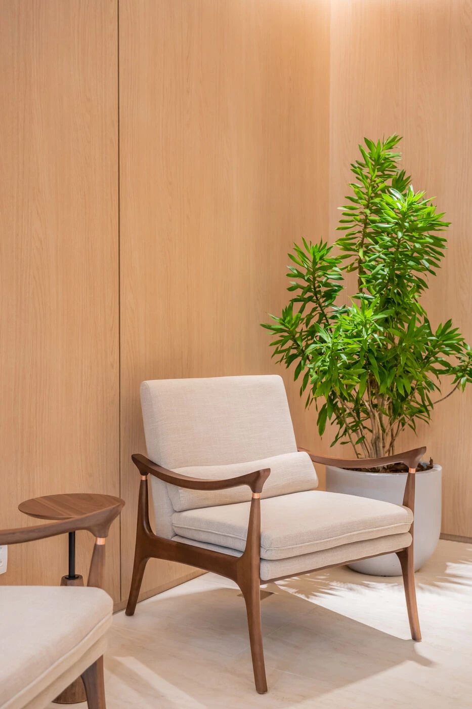 Carpa 家族办公室丨巴西圣保罗-14