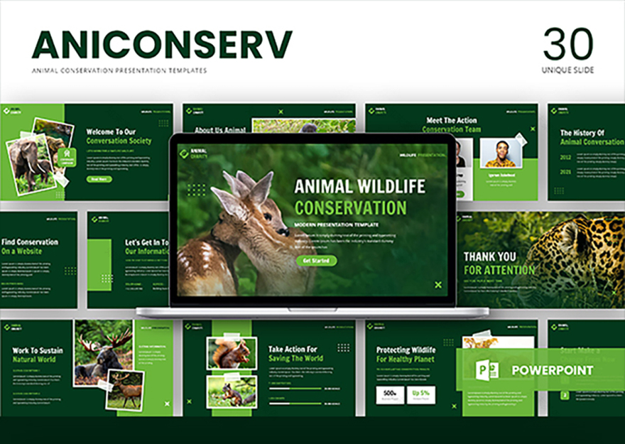 安尼康瑟夫 演示文稿模板 -2