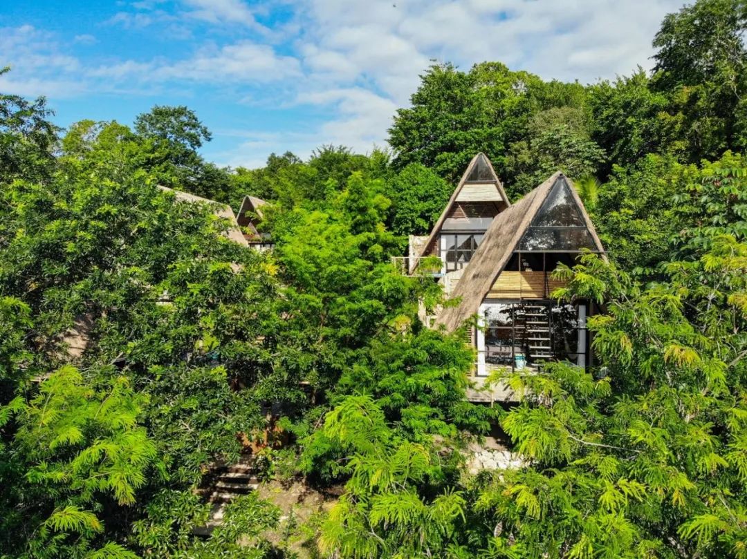 400m²墨西哥 Azul nomeolvides 度假屋 | 生物气候建筑与自然的和谐共生-34