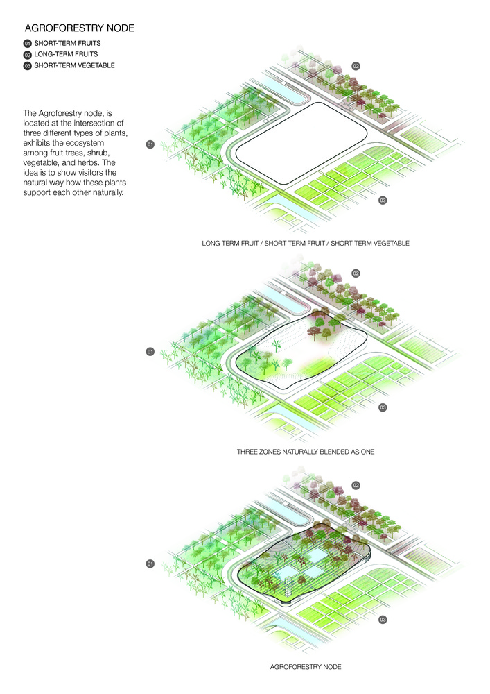 越南 Cuchi 有机农场-18