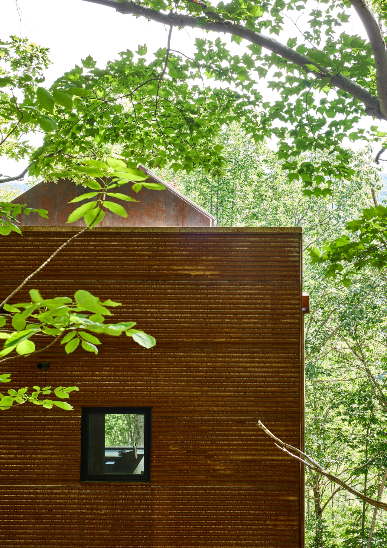 White Rock 建筑师自宅丨加拿大丨Omar Gandhi-15