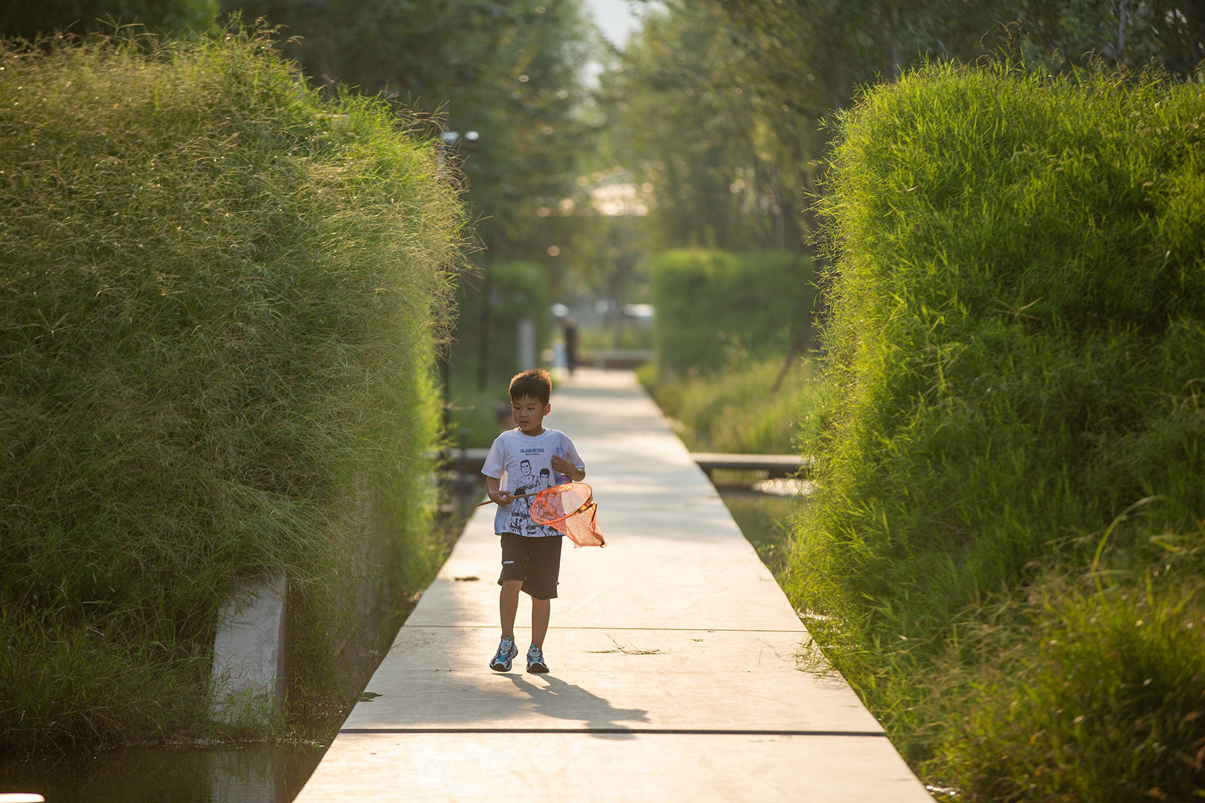 周口淮阳伏羲文化公园丨中国周口丨土人设计-65