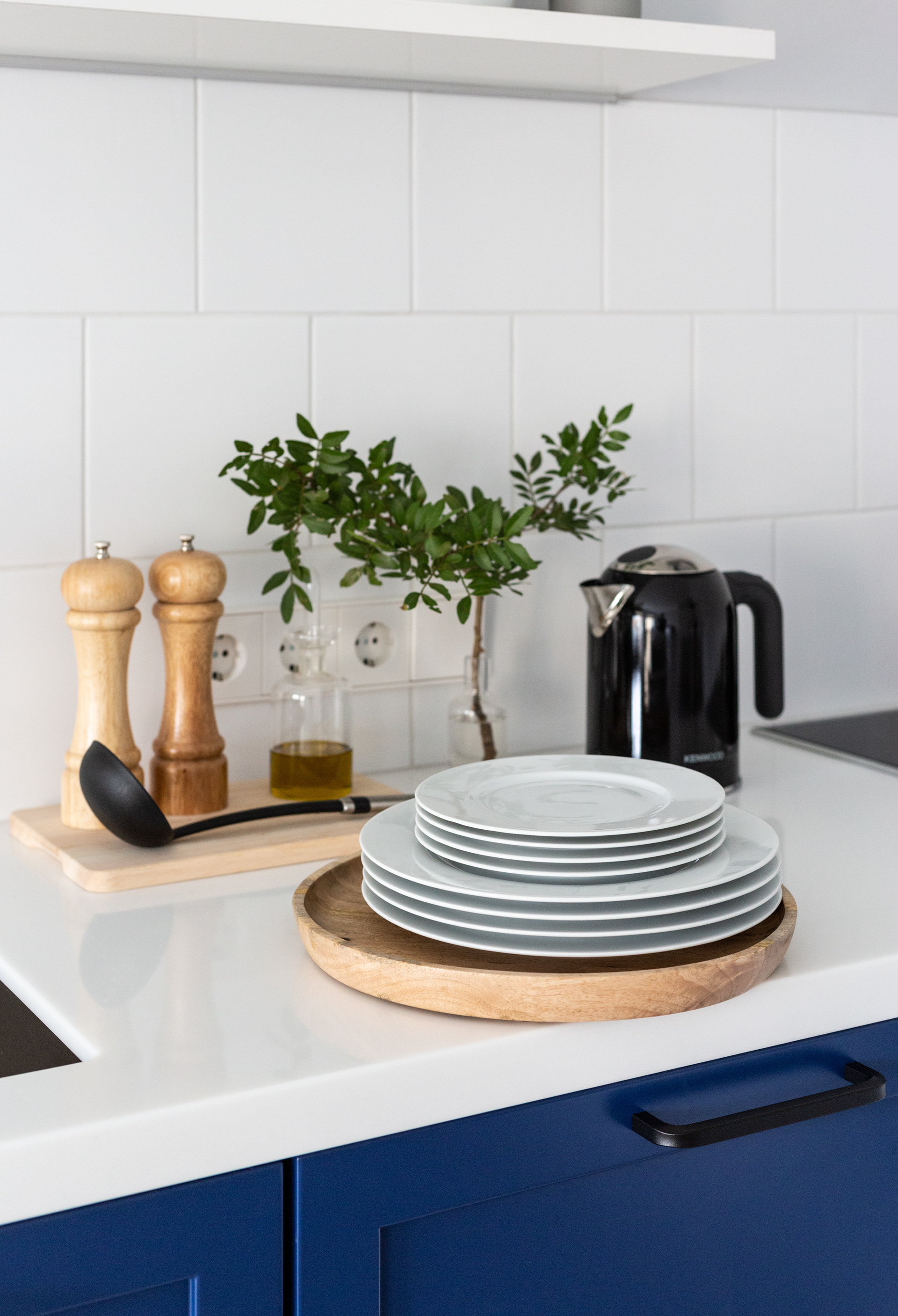 阿苏尔公寓丨俄罗斯圣彼得堡丨Nikita Zub-10