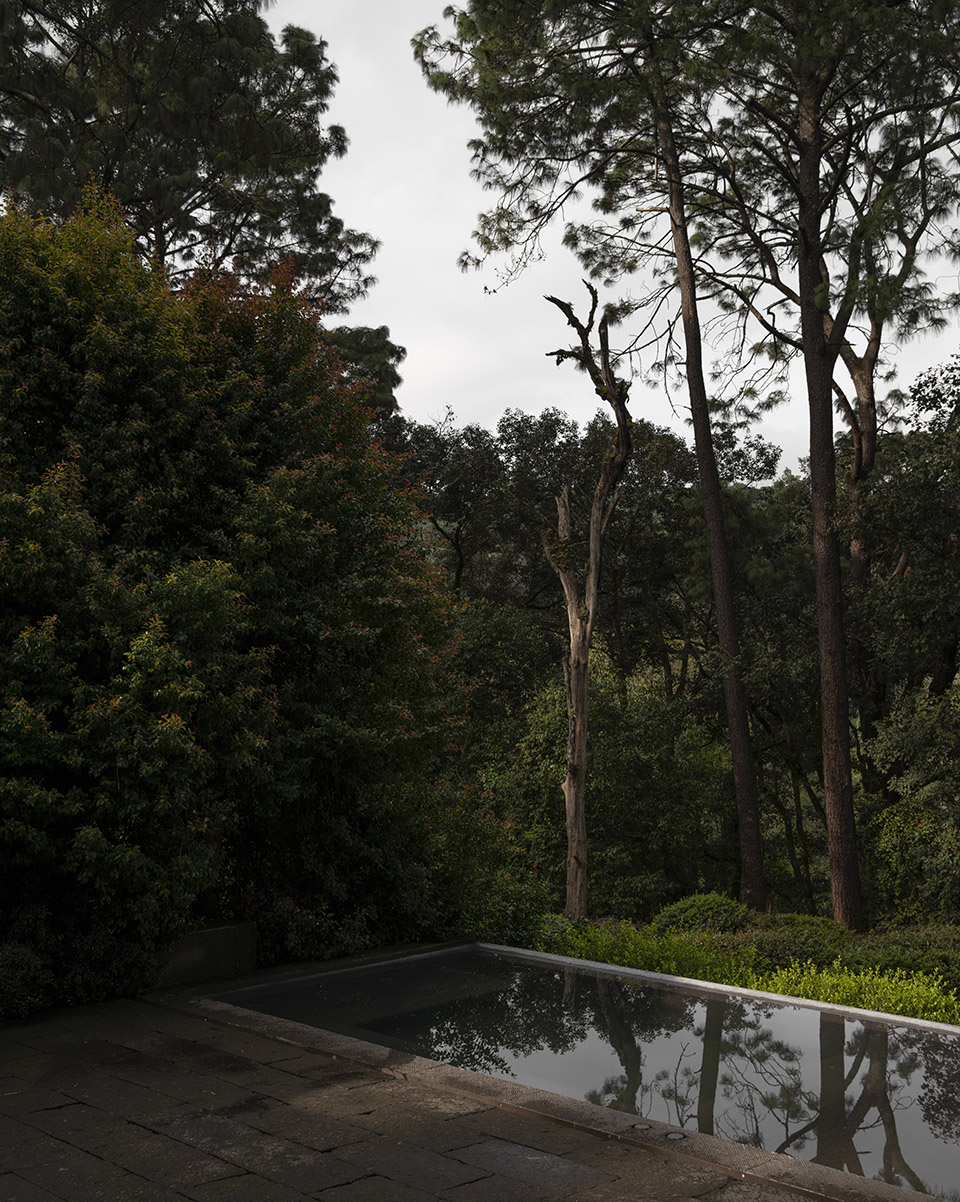 林中之屋丨墨西哥丨direccion-7