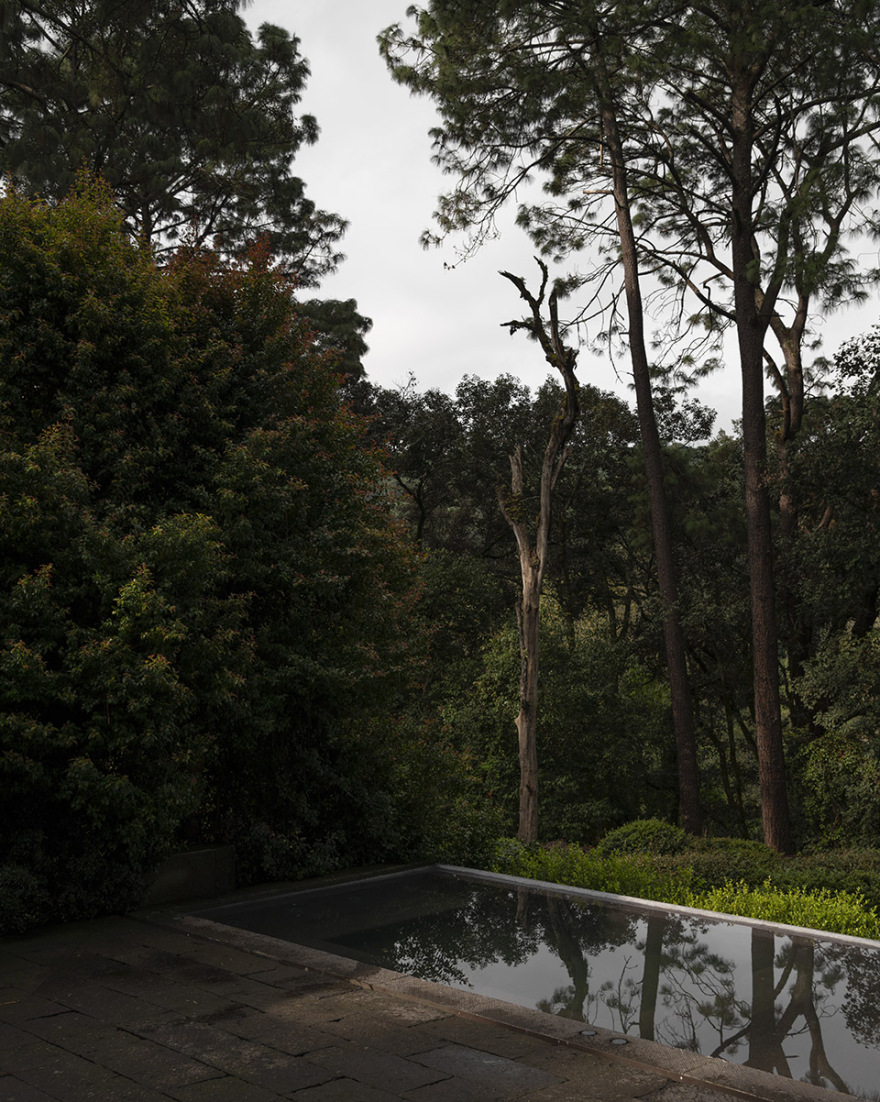 林中之屋丨墨西哥丨direccion-7