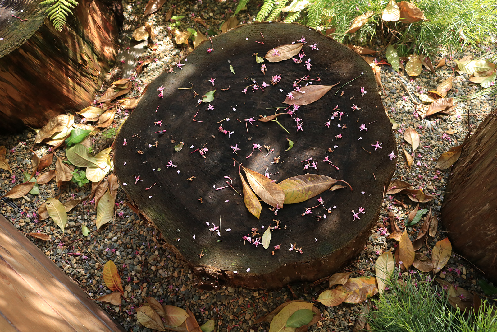 身边风景 | Soft Studio-85