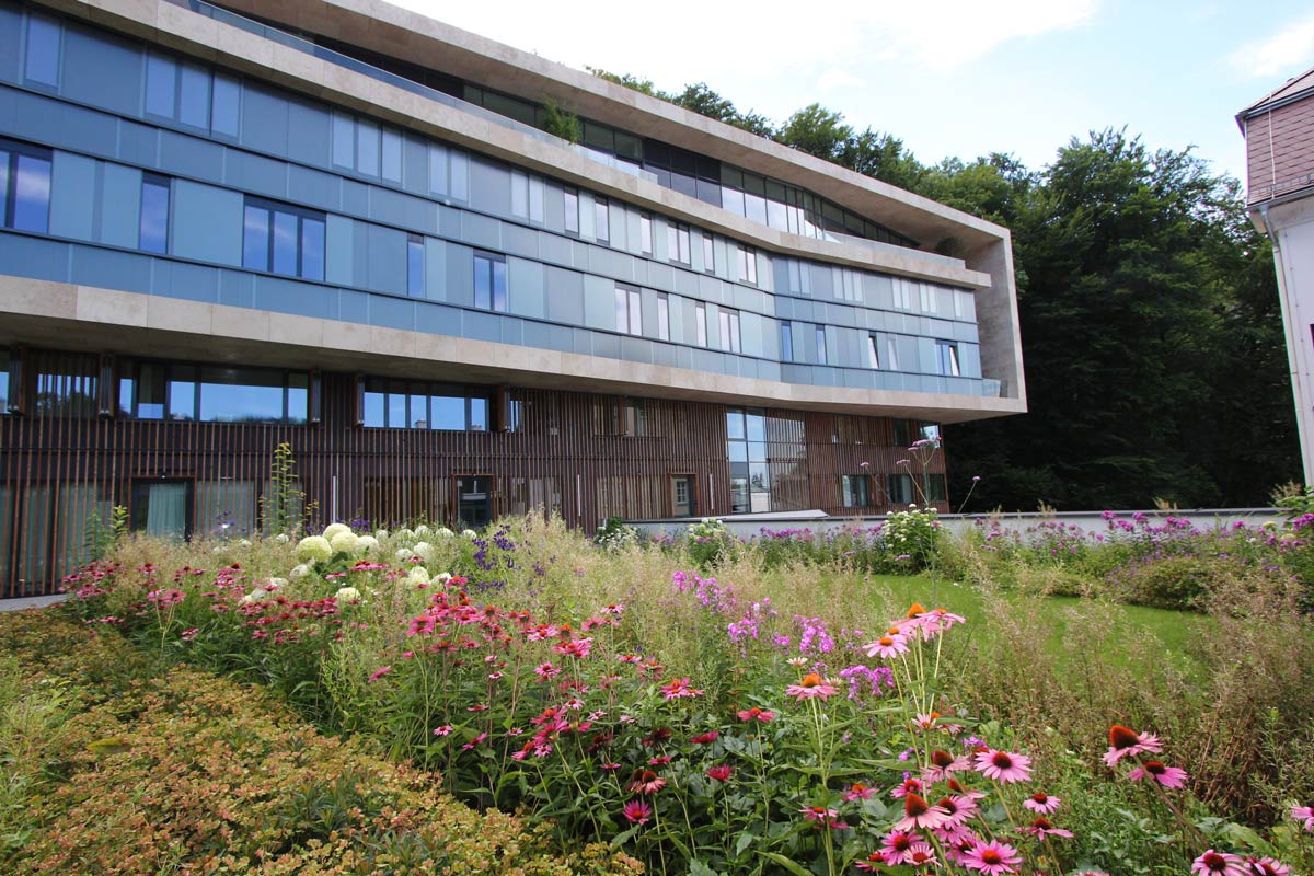 岩石中的城市绿洲-19