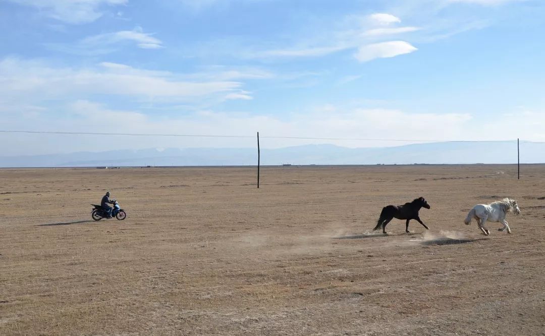 西安-- 甘肃-- 青海-- 西藏-- 云南环游之旅 | 诗和远方的田野-57
