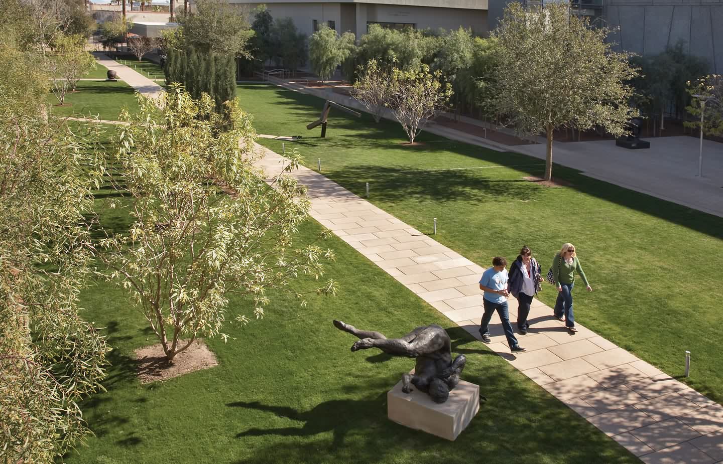 凤凰美术馆庭院景观-2