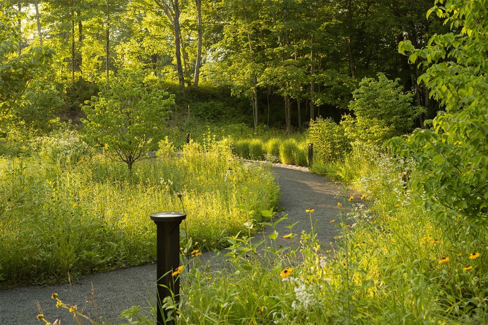 桑迪胡克“林间空地”纪念园丨美国康涅狄格丨SWA Group-34