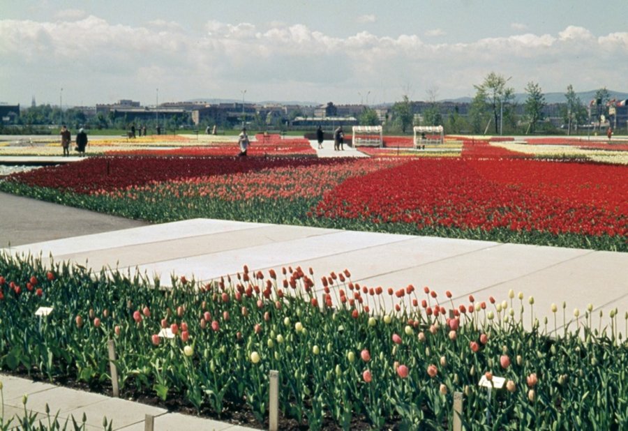 维也纳国际园艺展1964（WIG 64）及多瑙公园改造丨奥地利维也纳丨维也纳市园林局等多方参与-11