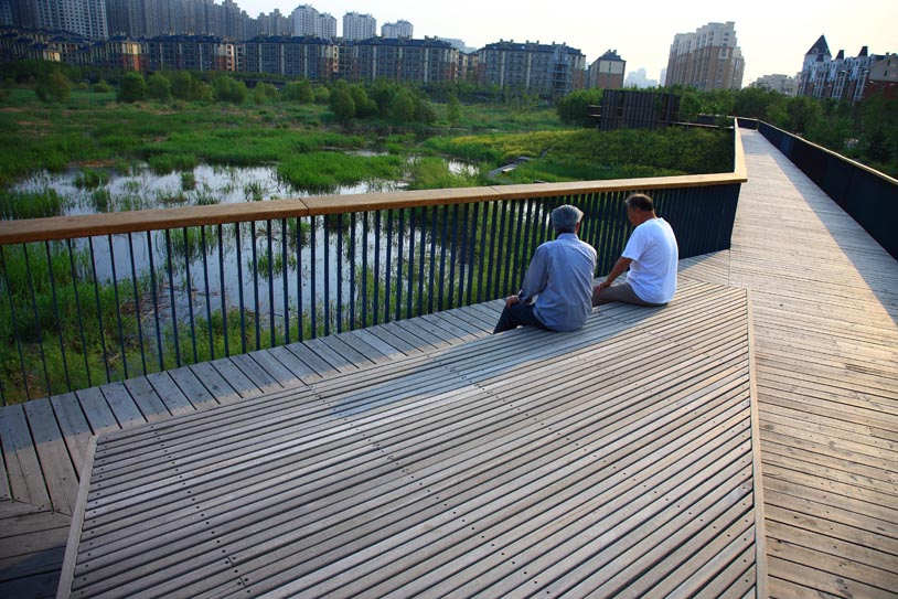 Qunli Stormwater Park（群力雨水公园）丨中国哈尔滨丨Turenscape-17
