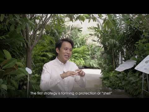 Safezone Shelter / Shma Company Limited-36