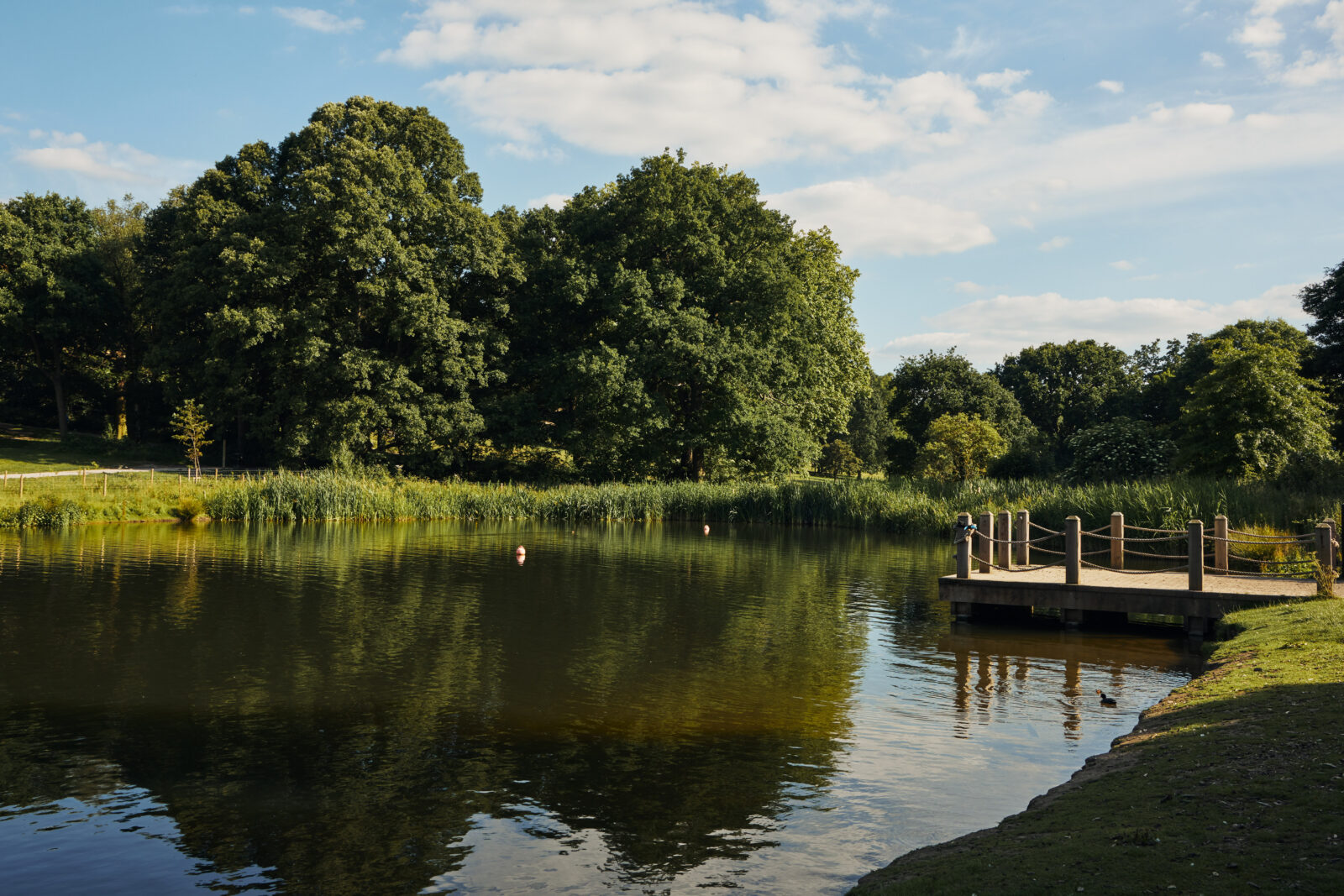 Take a Dip: London’s best swimming spots - from lakes to lidos | Journal | The Modern House-11
