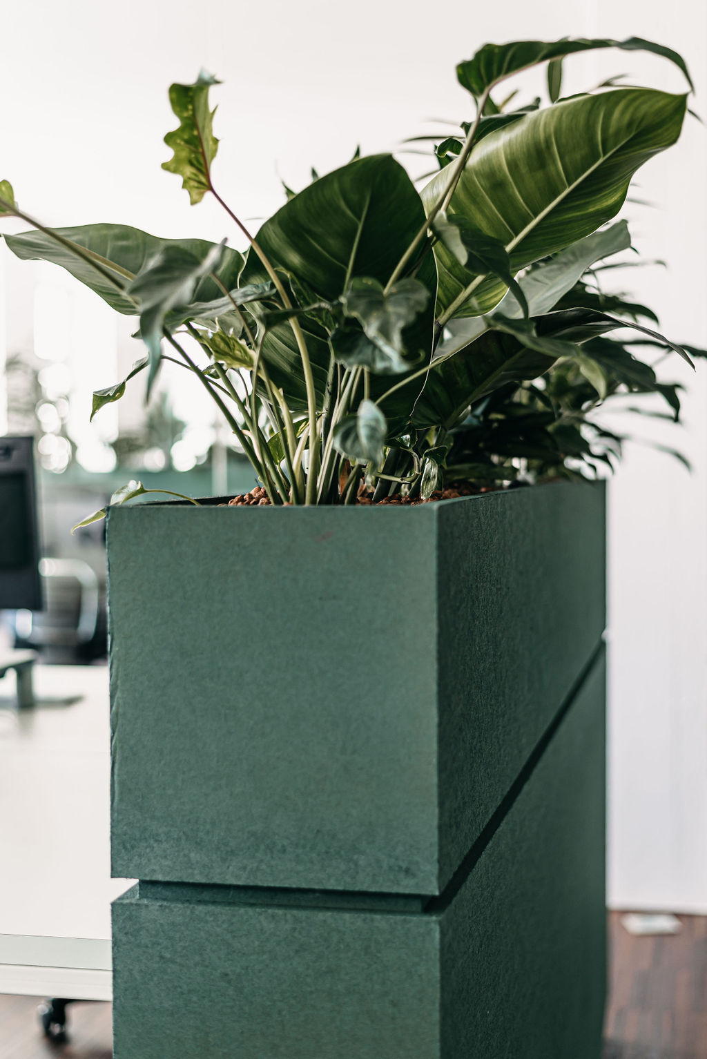 INpuls 办公室 | 绿色创意空间与吸音设计-12