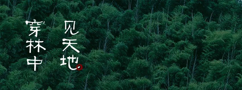 贵阳融创·云麓长林 | 自然之约,心灵之旅-28