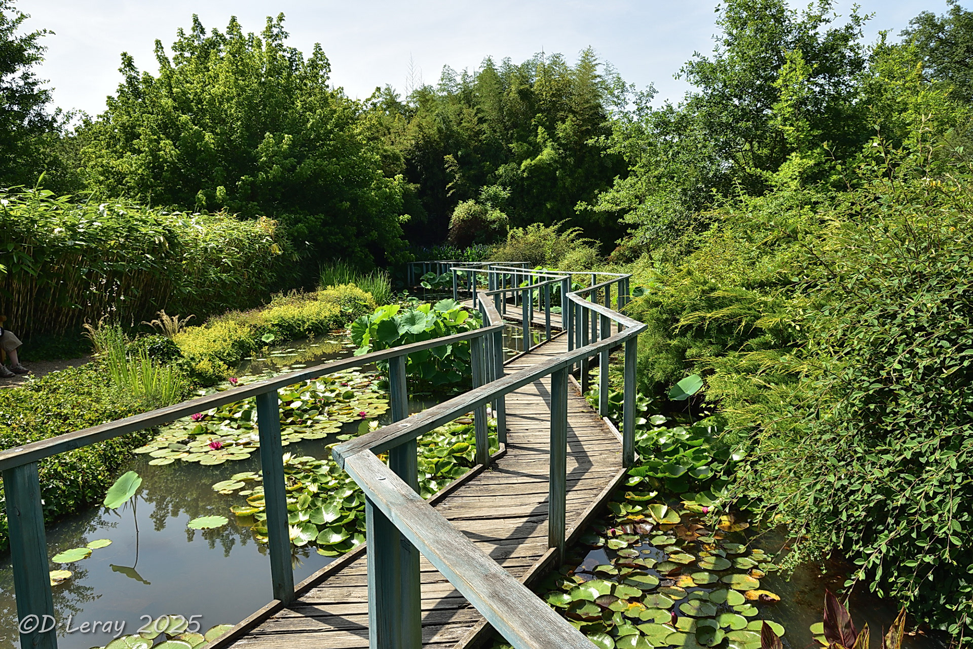 Jardins d'eau Carsac Aillac (24)-10