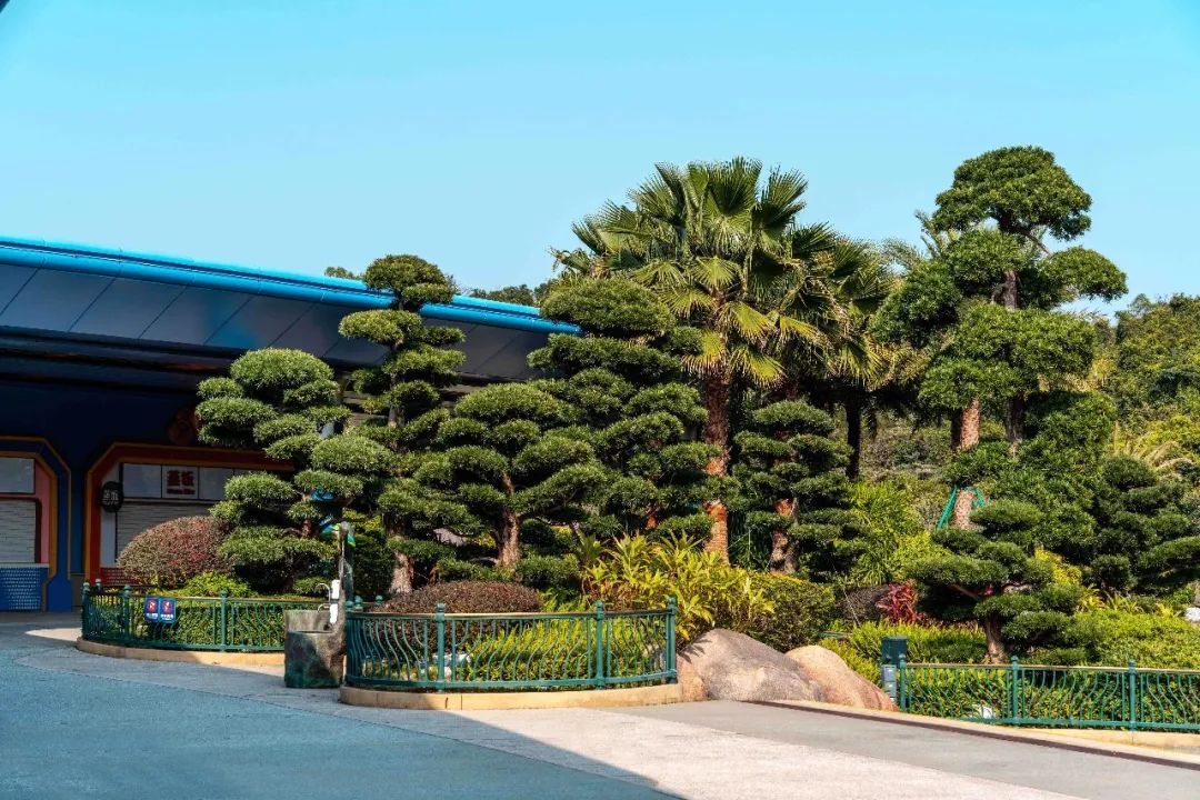 珠海长隆飞船乐园丨中国珠海丨广州普邦园林股份有限公司-74